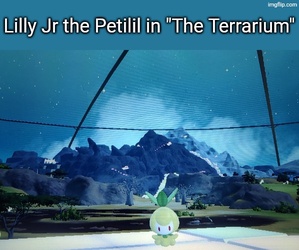 Lilly Jr in the terrarium. | Lilly Jr the Petilil in "The Terrarium" | image tagged in pokemon,lilly jr | made w/ Imgflip meme maker