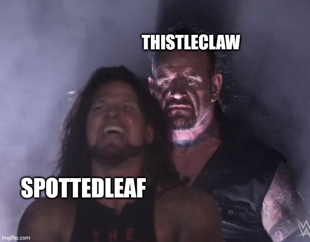 undertaker | Thistleclaw; Spottedleaf | image tagged in warrior cats | made w/ Imgflip meme maker