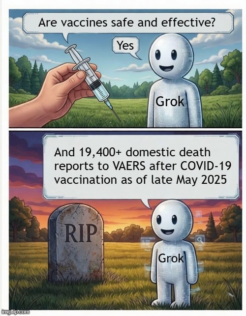 Grok says vaccines are safe and effective despite deaths reported to VAERS | Are vaccines safe and effective? Yes; Grok; And 19,400+ domestic death reports to VAERS after COVID-19 vaccination as of late May 2025; Grok | image tagged in vaccines,vaccine,vaccination,covid vaccine,vaccinations,bill gates loves vaccines | made w/ Imgflip meme maker