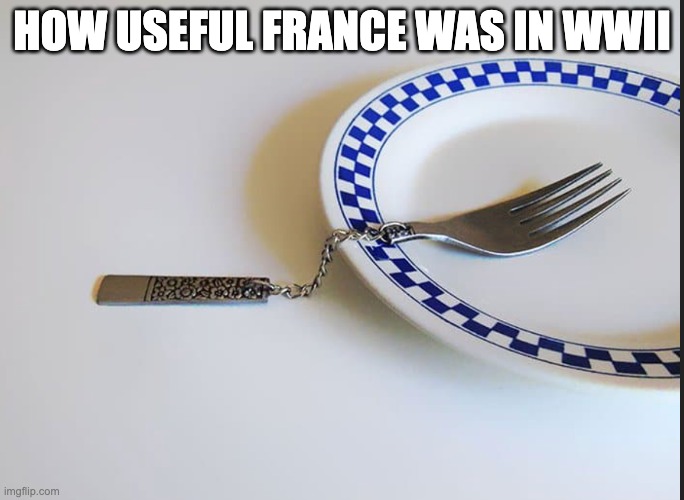USELESS | How useful france was in WWII | image tagged in history,surrender,meme,france,wwii | made w/ Imgflip meme maker