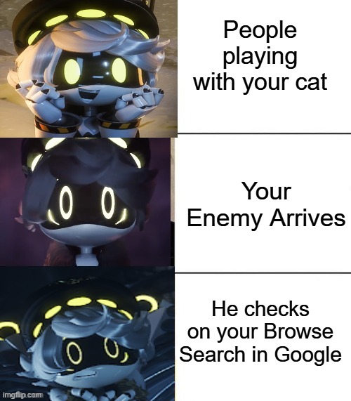 The only Private Thing in Internet of Yours | People playing with your cat; Your Enemy Arrives; He checks on your Browse Search in Google | image tagged in n's fright level | made w/ Imgflip meme maker