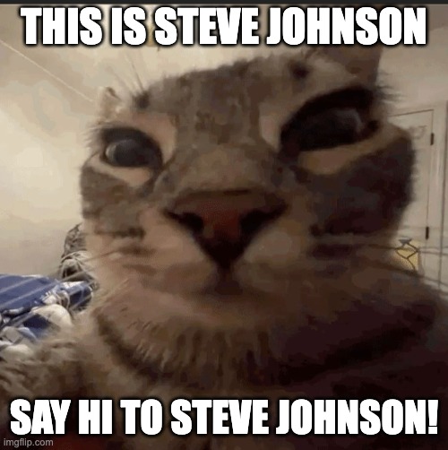STEVE JOHNSON | This is steve johnson; say hi to steve johnson! | image tagged in steve johnson,helo,meme,say hi to | made w/ Imgflip meme maker