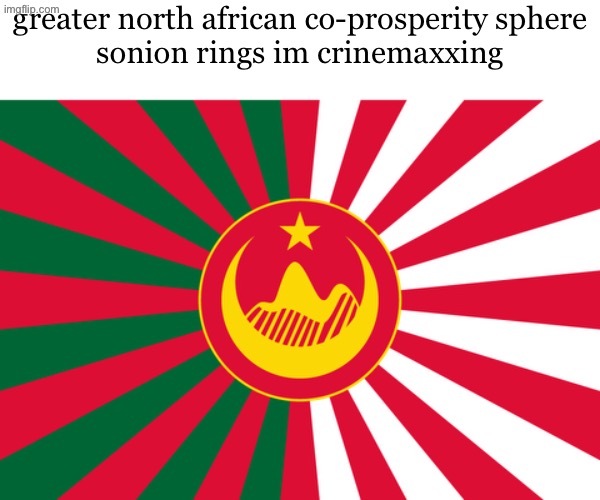greater north african co-prosperity sphere
sonion rings im crinemaxxing | made w/ Imgflip meme maker