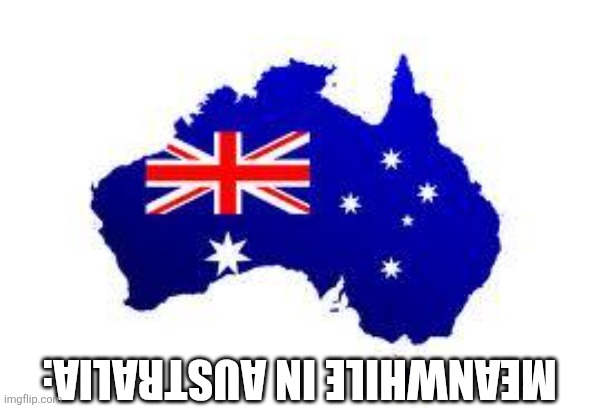 oi mate innit | Meanwhile in Australia: | image tagged in australia | made w/ Imgflip meme maker