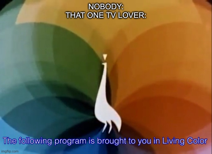 Funni memez | Nobody:

That one Tv lover: | image tagged in living color | made w/ Imgflip meme maker