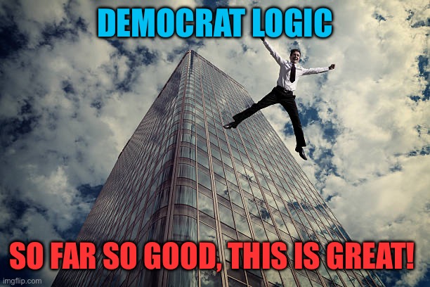 Democratic Logic | Democrat logic; So far so good, this is great! | image tagged in gifs,democrat,democratic socialism,liberal logic,democrat party | made w/ Imgflip meme maker