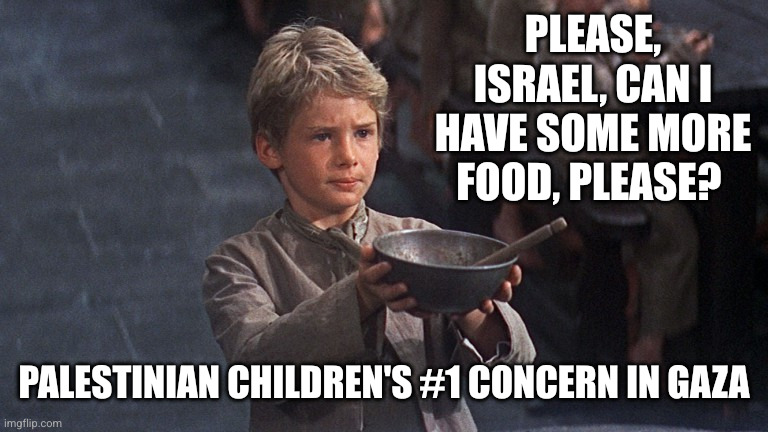 An entire generation is starving | Please, Israel, can I have some more food, please? Palestinian children's #1 concern in Gaza | image tagged in please sir,memes,starvation,gaza strip,israel,palestinians | made w/ Imgflip meme maker