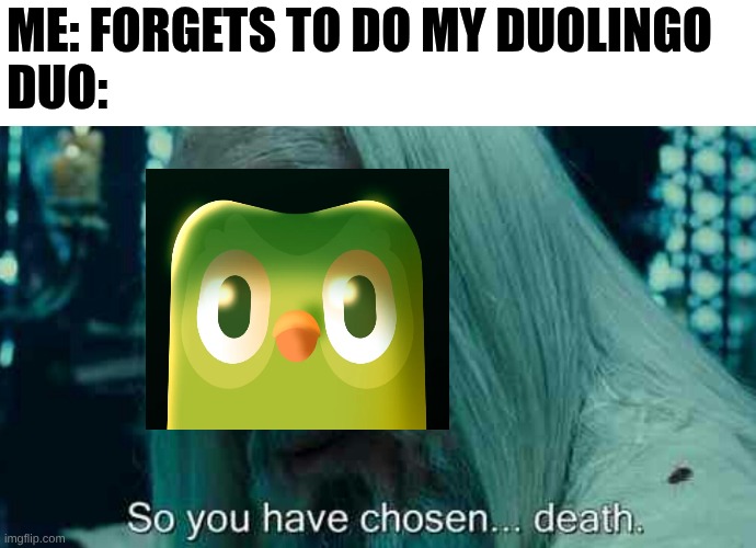 Spanish or Vanish | Me: forgets to do my Duolingo 

Duo: | image tagged in so you have chosen death,duolingo,funny,memes,relatable | made w/ Imgflip meme maker