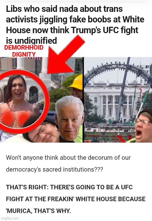 Demorhhoids Dignity | Demorhhoid Dignity | image tagged in screenshot_20260528_023758_chrome jpg,weird,biden,triggered liberal | made w/ Imgflip meme maker