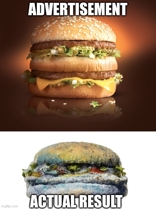 Advertisement Actual result | image tagged in big mac,moldy ahh burger | made w/ Imgflip meme maker