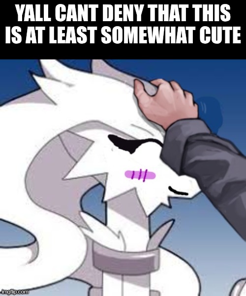 no denying it | yall cant deny that this is at least somewhat cute | image tagged in verita the reshiram head pats | made w/ Imgflip meme maker