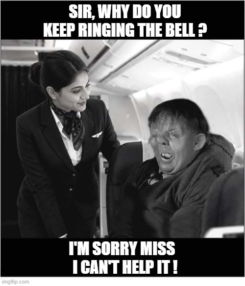 Quasimodo On A Plane Is A Nightmare For The Cabin Crew ! | sir, Why Do You Keep Ringing The Bell ? I'm sorry miss
  I can't help it ! | image tagged in quasimodo,ringing,bell,nightmare | made w/ Imgflip meme maker
