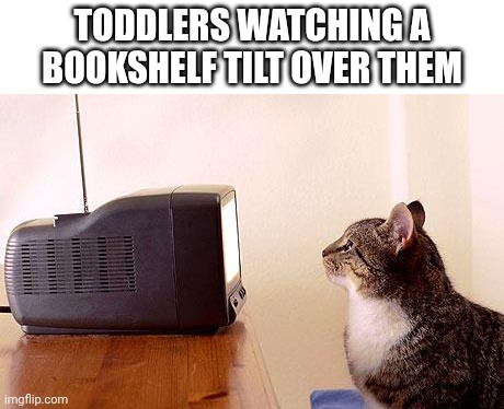. | Toddlers watching a bookshelf tilt over them | image tagged in cat watching tv | made w/ Imgflip meme maker