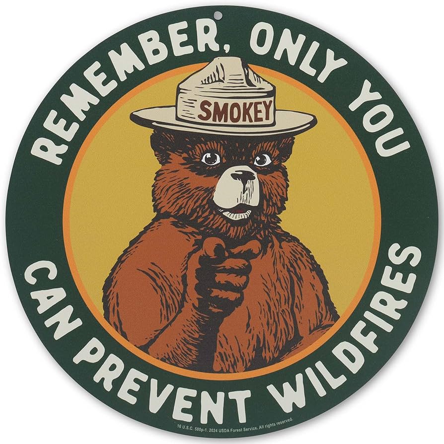 Smokey Bear Blank Meme Template
