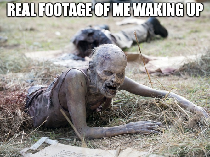 just peak | real footage of me waking up | image tagged in the walking dead crawling zombie | made w/ Imgflip meme maker