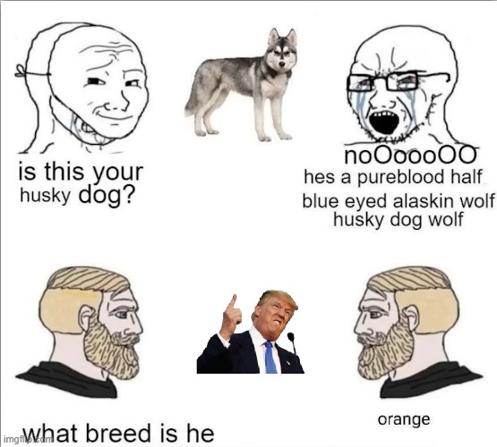 Animal Breeds | image tagged in dog,politics,animals,donald trump,liberals | made w/ Imgflip meme maker