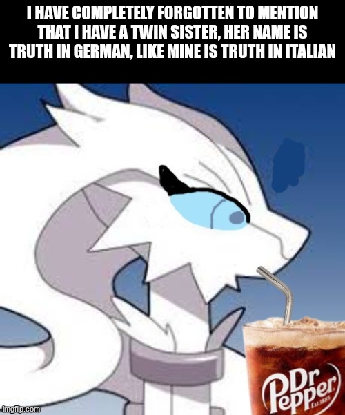 she only visited me not too long ago, thats how I remembered | I have completely forgotten to mention that I have a twin sister, her name is truth in german, like mine is truth in italian | image tagged in verita the reshiram with dr pepper | made w/ Imgflip meme maker
