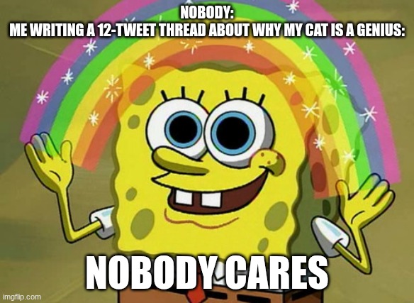 Nobody cares about you | NOBODY:
ME WRITING A 12-TWEET THREAD ABOUT WHY MY CAT IS A GENIUS:; NOBODY CARES | image tagged in memes,imagination spongebob | made w/ Imgflip meme maker