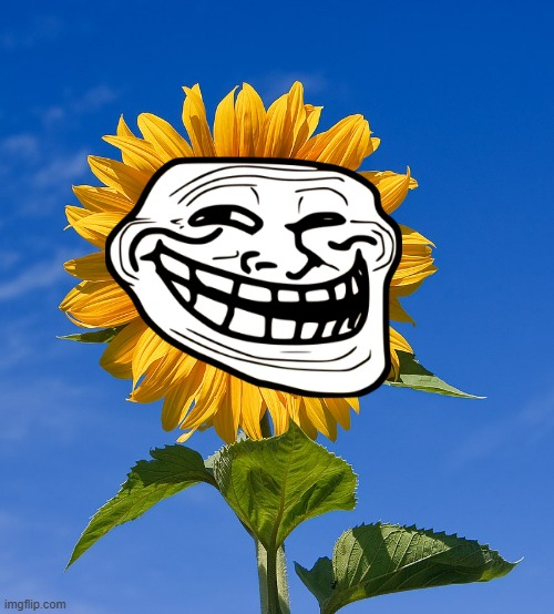 Slavic Sunflower | image tagged in slavic sunflower | made w/ Imgflip meme maker