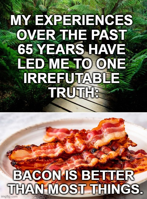 asYAUETSRIYDT.jpg | My experiences 
over the past 
65 years have 
led me to one 
irrefutable 
truth:; Bacon is better  than most things. | image tagged in bacon | made w/ Imgflip meme maker
