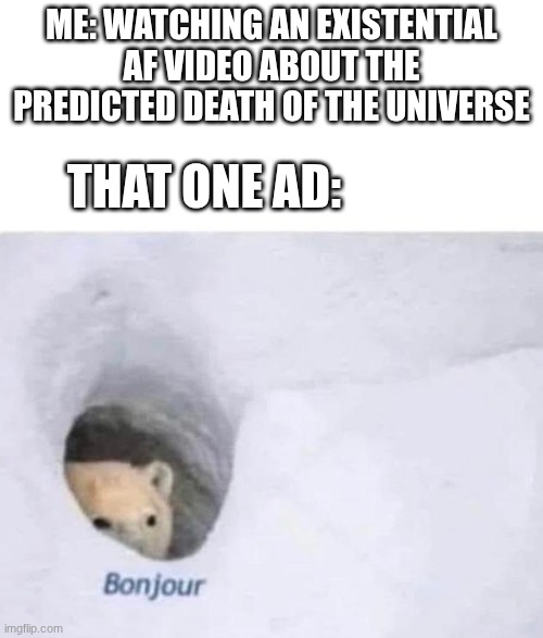 The video I'm referring to is TIMELAPSE OF THE FUTURE: A Journey to the End of Time. It is very good. I highly recommend it. | me: watching an existential af video about the predicted death of the universe; that one ad: | image tagged in bonjour | made w/ Imgflip meme maker