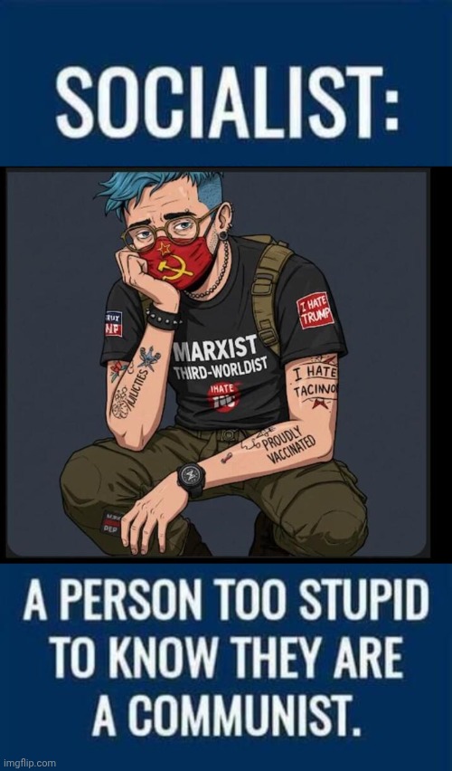 Stupid Marxist | image tagged in socialist too stupid jpeg,blue haired marxist wokester | made w/ Imgflip meme maker