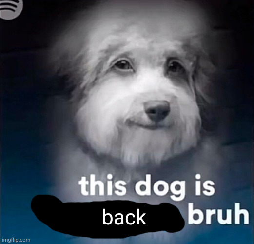 this dog is fucked up bruh | back | image tagged in this dog is fucked up bruh | made w/ Imgflip meme maker