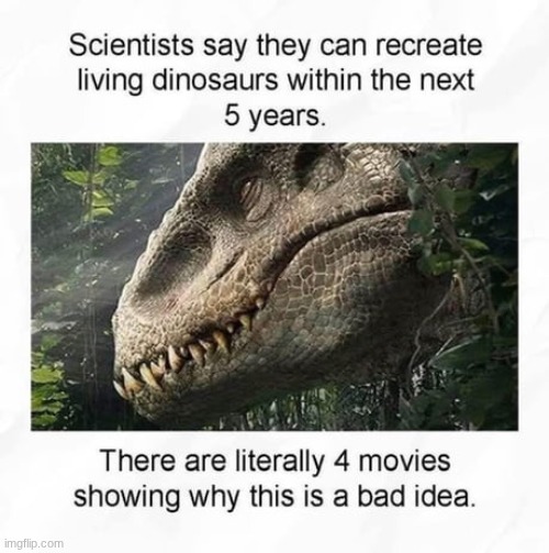 Bad idea | image tagged in dinosaurs meteor | made w/ Imgflip meme maker