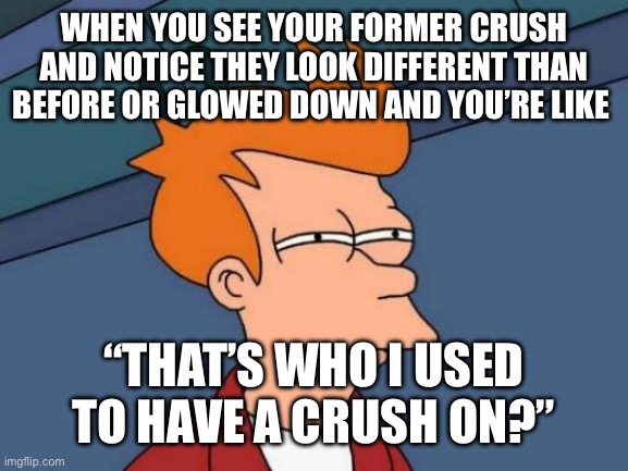 Futurama Fry Meme | When you see your former crush and notice they look different than before or glowed down and you’re like; “That’s who I used to have a crush on?” | image tagged in memes,futurama fry | made w/ Imgflip meme maker