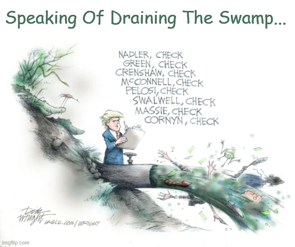 Speaking of draining the swamp... | Speaking Of Draining The Swamp... | image tagged in political,reposts,draining the swamp | made w/ Imgflip meme maker