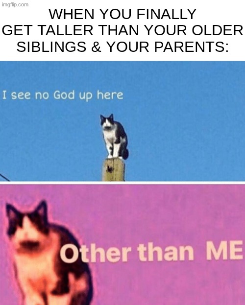 I HOLD THE POWER NOW!! | when you finally get taller than your older siblings & your parents: | image tagged in hail pole cat | made w/ Imgflip meme maker