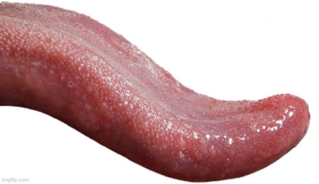 Long Tongue | image tagged in long tongue | made w/ Imgflip meme maker