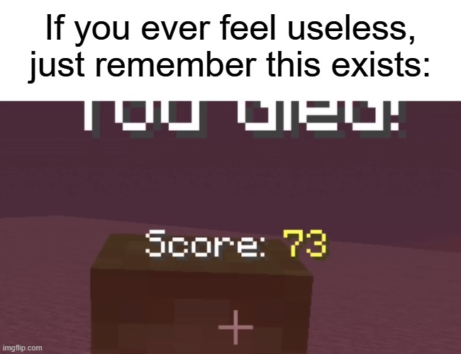 If you ever feel useless, just remember this exists: | made w/ Imgflip meme maker