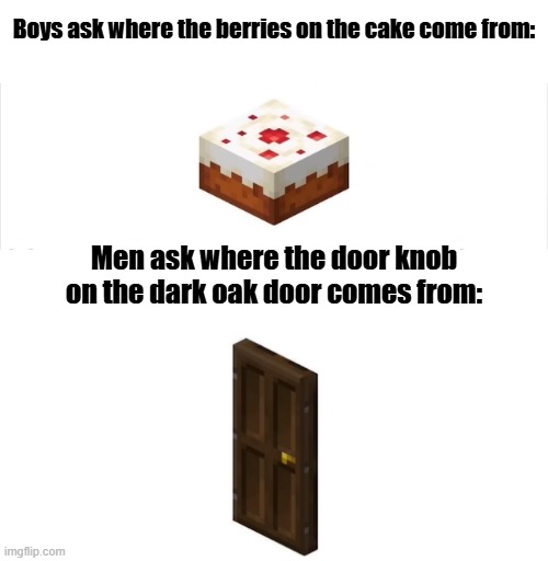 Boys ask where the berries on the cake come from:; Men ask where the door knob on the dark oak door comes from: | made w/ Imgflip meme maker