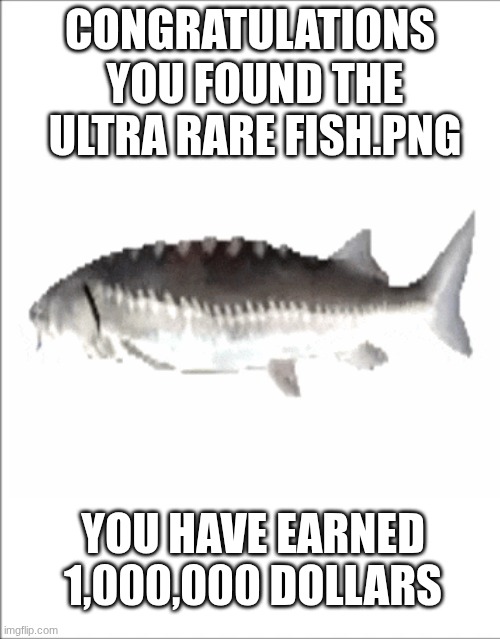 SAMPLE TEXT OMG!!! | you found the ultra rare fish.png; congratulations; you have earned 1,000,000 dollars | image tagged in sample text omg | made w/ Imgflip meme maker