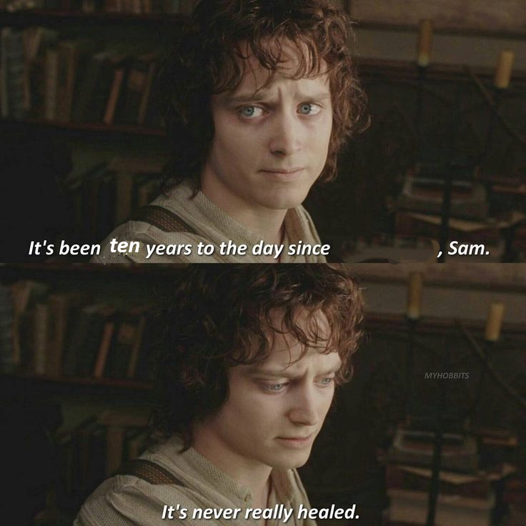 Frodo its never really healed Blank Meme Template