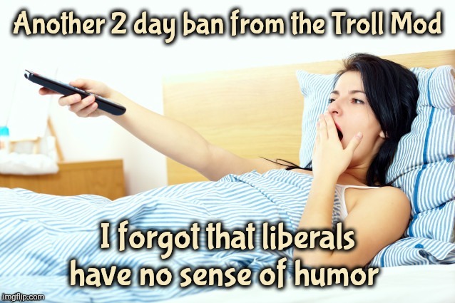 I didn't make them idiots | Another 2 day ban from the Troll Mod; I forgot that liberals have no sense of humor | image tagged in boooriiing,i think i forgot something,trolling,imgflip mods,anti-joke chicken,funny because it's true | made w/ Imgflip meme maker