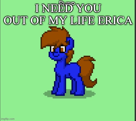 Pony Pump except in Pony Town | I NEED YOU OUT OF MY LIFE ERICA | image tagged in pony pump except in pony town | made w/ Imgflip meme maker