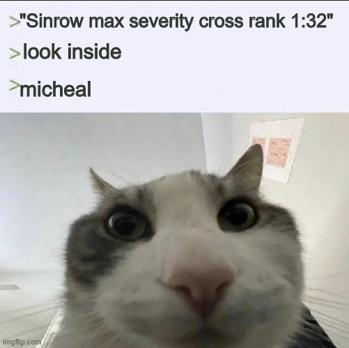 always | "Sinrow max severity cross rank 1:32"; look inside; micheal | image tagged in cat looks inside,grace,roblox | made w/ Imgflip meme maker