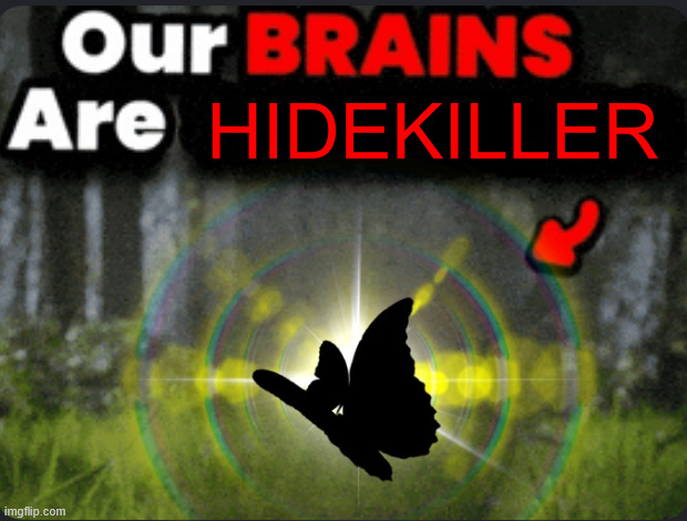 HIDEKILLER | image tagged in our brains are gone | made w/ Imgflip meme maker