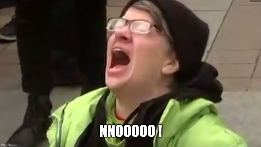 Screaming Liberal  | Nnooooo ! | image tagged in screaming liberal | made w/ Imgflip meme maker