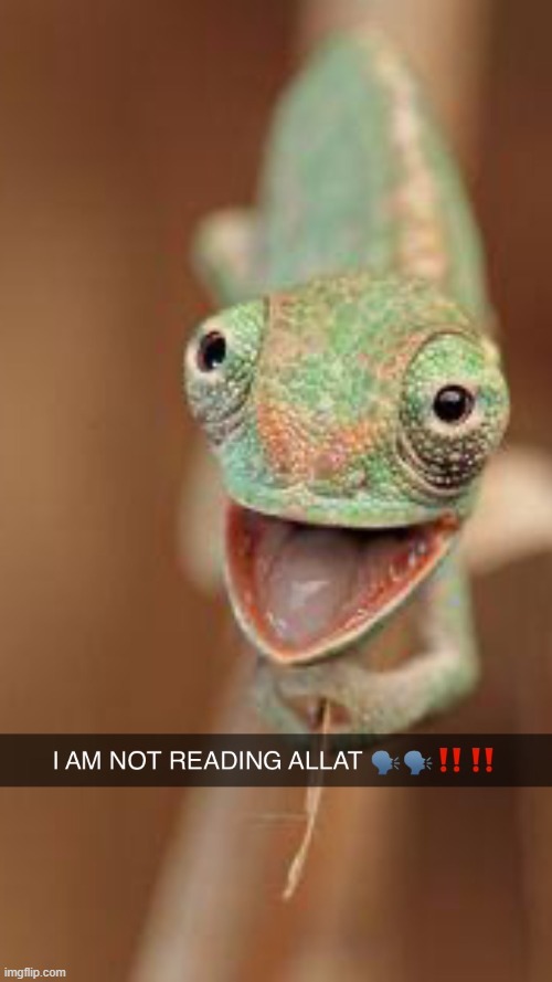 image tagged in i ain t reading allat | made w/ Imgflip meme maker