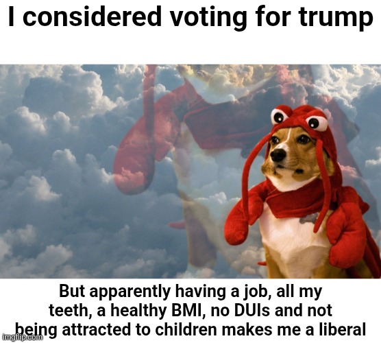 Corgi Ascended Lobster | I considered voting for trump; But apparently having a job, all my teeth, a healthy BMI, no DUIs and not being attracted to children makes me a liberal | image tagged in corgi ascended lobster,scumbag republicans,terrorists,trailer trash,conservative hypocrisy,pedophiles | made w/ Imgflip meme maker