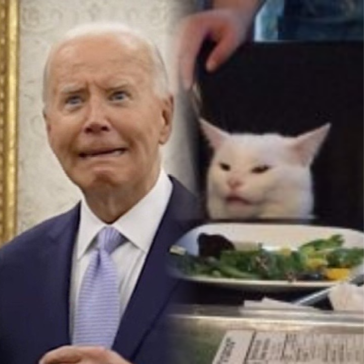 Joe Biden and Smudge Blank Meme Template