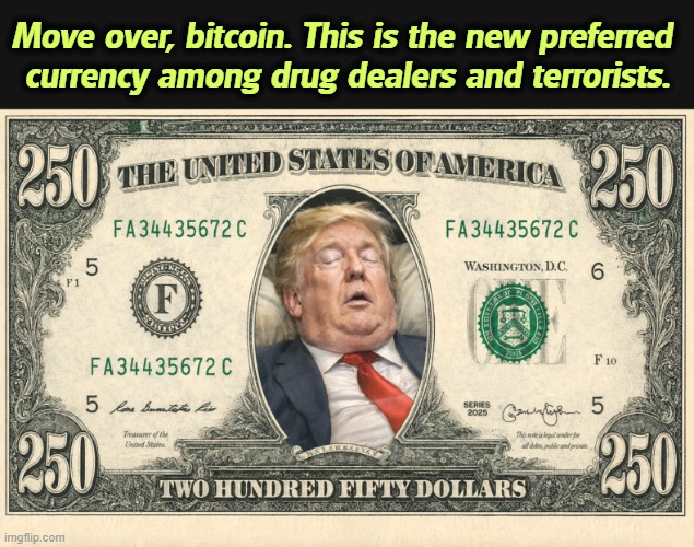 By the end of Trump's term, this will buy you a gallon of gas and a carton of eggs. | Move over, bitcoin. This is the new preferred 
currency among drug dealers and terrorists. | image tagged in trump 250 dollar bill currency drug dealers terrorists bitcoin,trump,sleep,dollars,drug dealer,terrorists | made w/ Imgflip meme maker