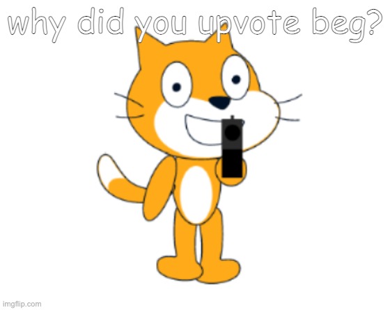 Scratch cat gun | why did you upvote beg? | image tagged in scratch cat gun | made w/ Imgflip meme maker