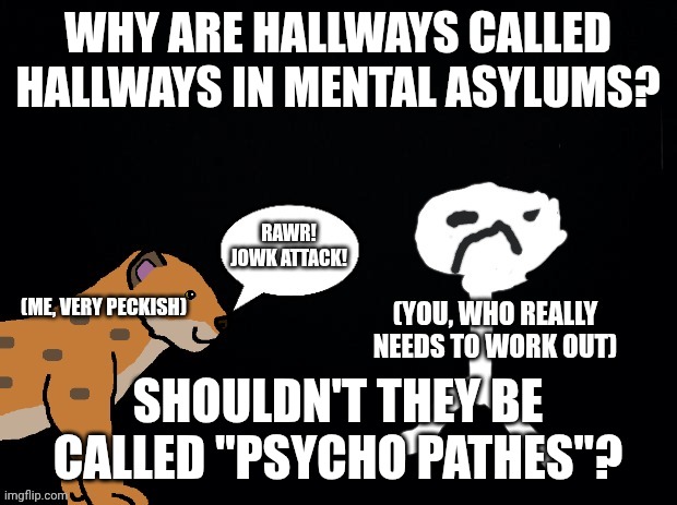 . | Why are hallways called hallways in mental asylums? Shouldn't they be called "psycho pathes"? | image tagged in asspki jpg | made w/ Imgflip meme maker