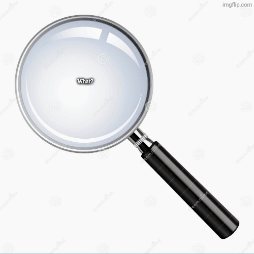 Magnifying Glass | What? | image tagged in magnifying glass | made w/ Imgflip meme maker
