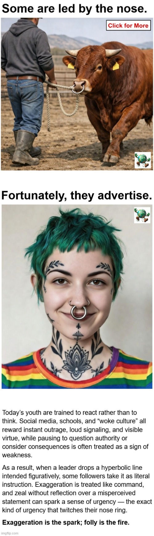 Why does hyperbolic activist rhetoric, spoken figuratively, often produce the most ridiculous literal actions? | image tagged in maga,conservative,leftist,activism | made w/ Imgflip meme maker