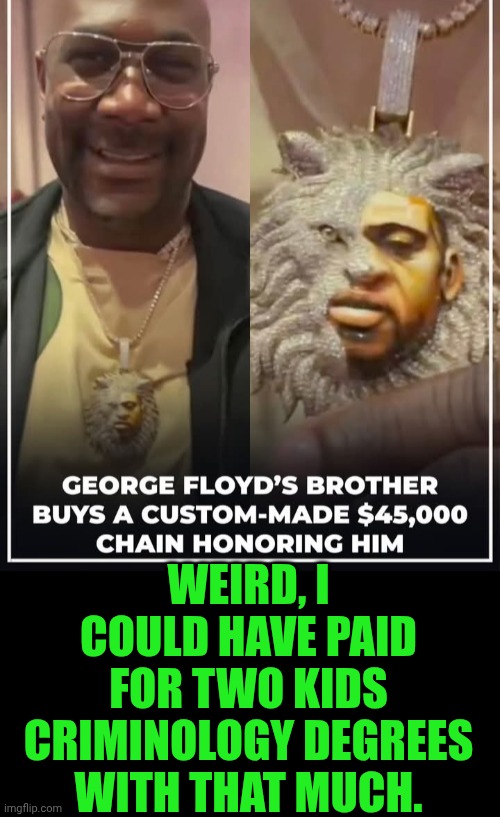Funny | Weird, I could have paid for two kids criminology degrees with that much. | image tagged in funny,shut up and take my money fry,criminal minds,jewelry,george floyd,brother | made w/ Imgflip meme maker